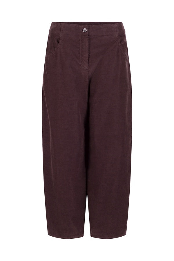 Hose 505
